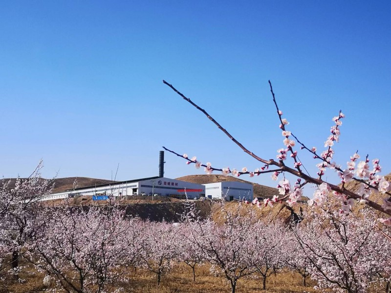 廠區(qū)環(huán)境